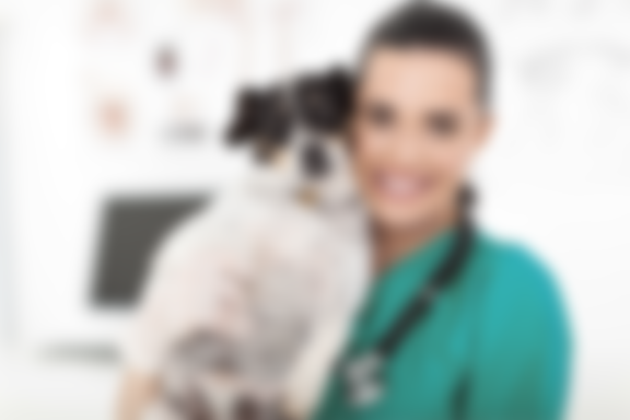 //weterynarz-chrzanow.pl/wp-content/uploads/2016/12/wellness-care.png